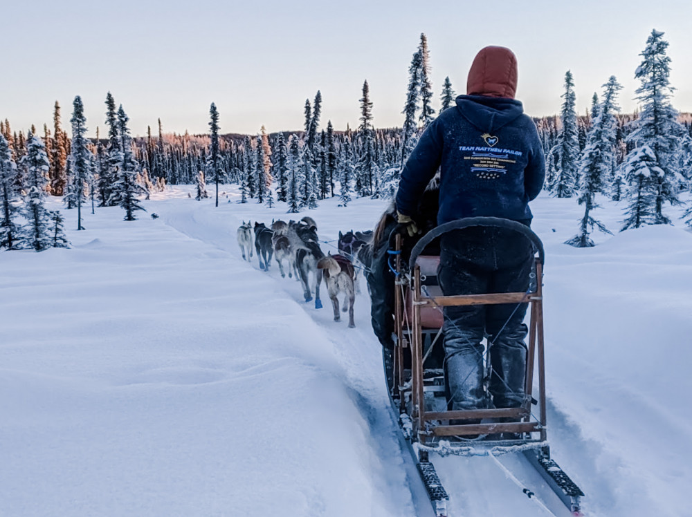 Traditional Dog Sled Ride Willow Project Expedition