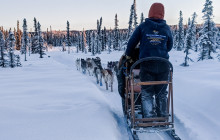 Alaskan Husky Adventures3