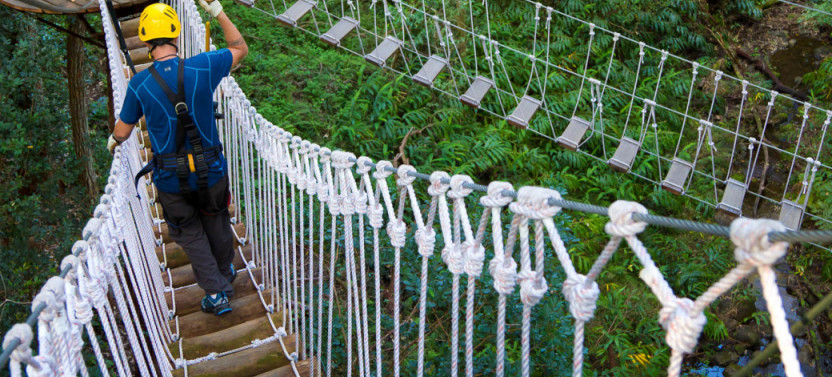 Private Canopy Zipline Adventure