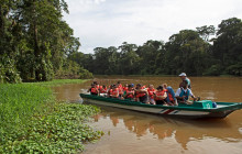 Greenway Nature Tours336