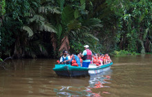 Greenway Nature Tours337