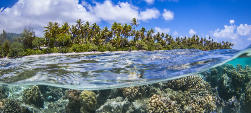 Full Day Bora Bora Lagoon Group Tour