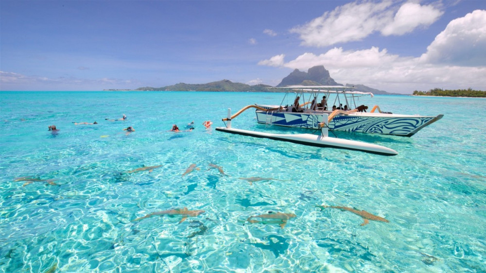 Half Day Bora Bora Lagoon Tour