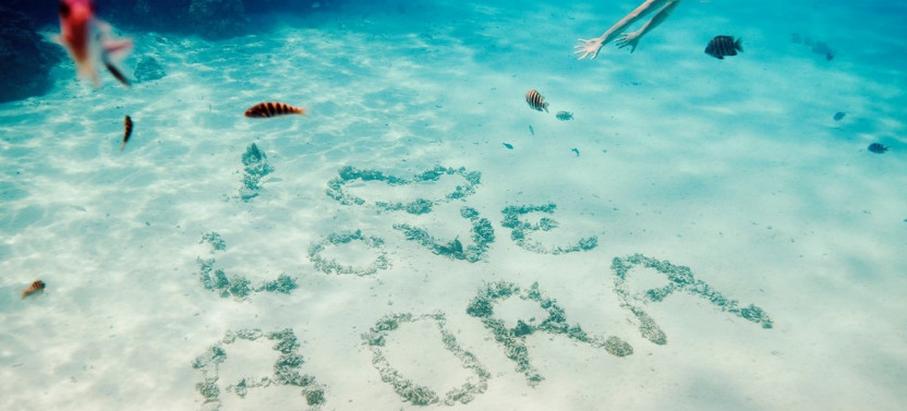 Half Day Bora Bora Lagoon Tour