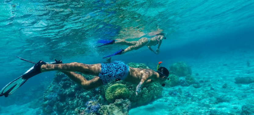 Private Half Day Bora Bora Lagoon Tour