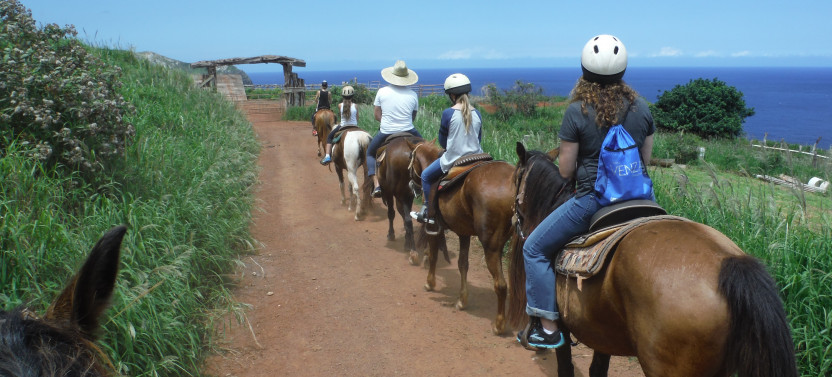 Aloha Oceanfront Horseback Ride - Afternoon