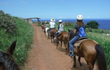 Aloha Oceanfront Horseback Ride - Afternoon