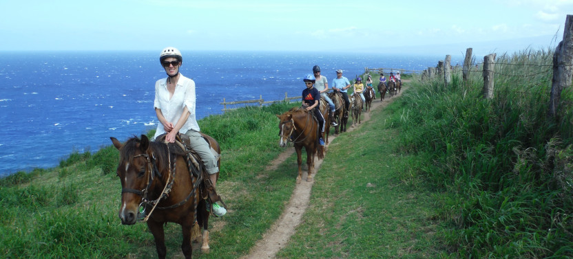 Aloha Oceanfront Horseback Ride - Afternoon