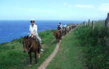 Aloha Oceanfront Horseback Ride - Afternoon