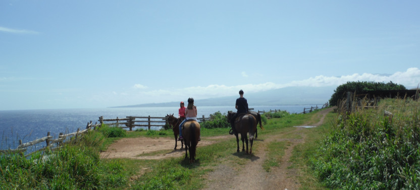 Aloha Oceanfront Horseback Ride - Afternoon