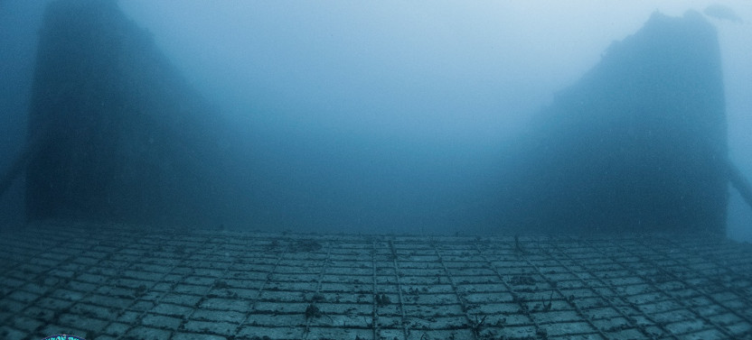 2 Tank Double Dip Wreck Dive Trip - AM