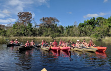 Everglades Area Tours1