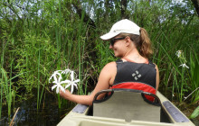 Everglades Area Tours4