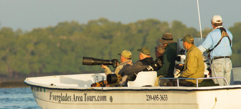 Everglades Birding, Dolphin, & Wildlife Boat Tour