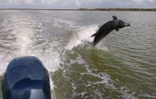 Everglades Area Tours4