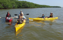 Everglades Area Tours2