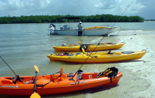 Everglades Area Tours4