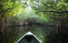 Everglades Area Tours3