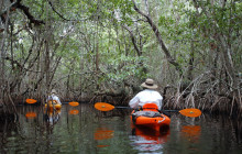 Everglades Area Tours5