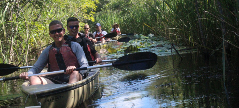 Mangrove Tunnel Kayak Eco Tour