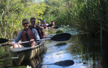 Everglades Area Tours1