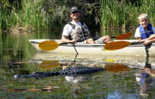 Everglades Area Tours8