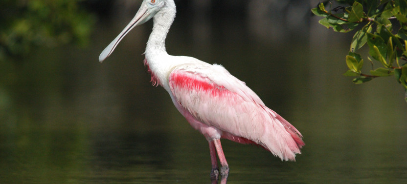 Private Photo Safari Tour