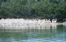 Everglades Area Tours1