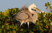 Everglades Area Tours7