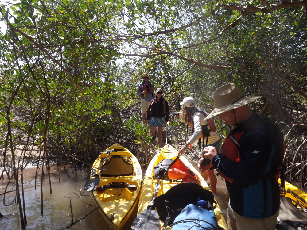 Everglades National Park Sea Kayak Tour Marco Island Project Expedition