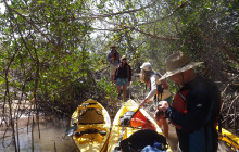 Everglades Area Tours7