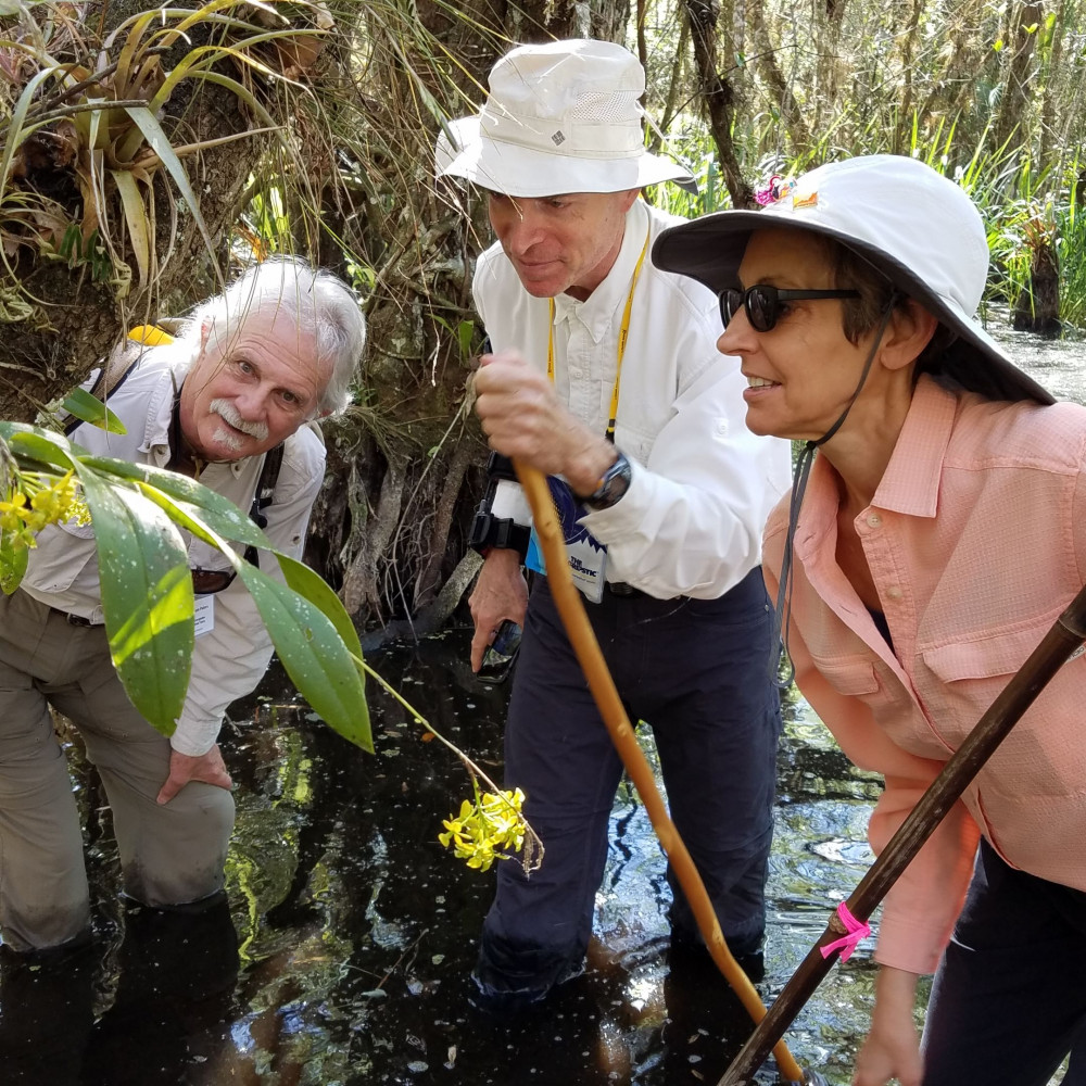 Everglades Area Tours