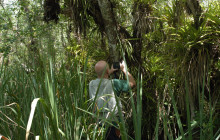 Everglades Area Tours4