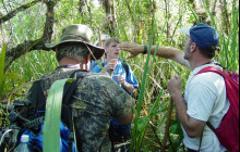 Everglades Area Tours6