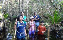 Everglades Area Tours8