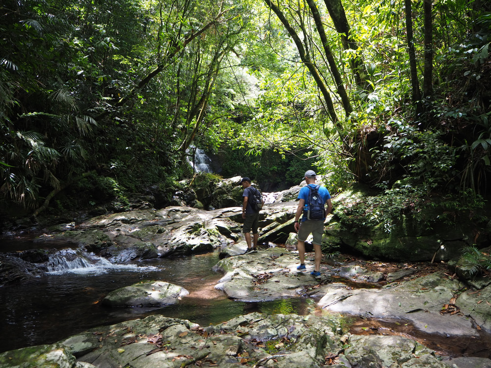 Bach Ma National Park Trekking Tour with Waterfall Visit - Hue ...