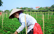 Footprint Vietnam Travel1