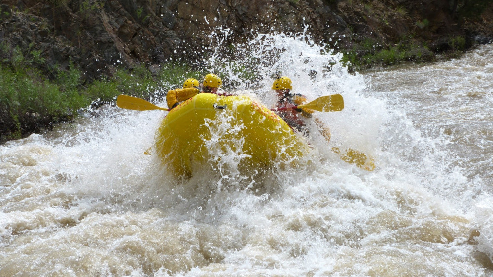 Bighorn Sheep Canyon Rafting Half Day Canon City Project Expedition