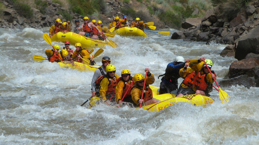 Half Day Royal White Water Rafting Canon City Project Expedition