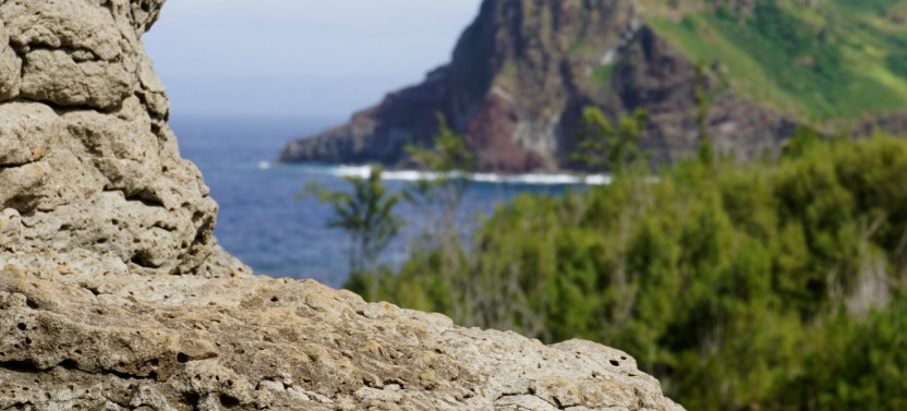 Private West Maui Adventure - Iao Valley (Without Hotel Pick-Up)