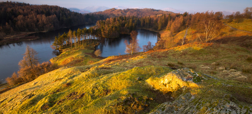 Lake District Tour with Cream Tea and Cruise from London