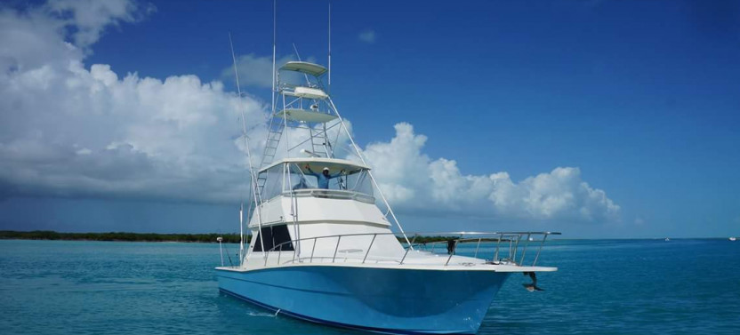 Full Day Private Deep Sea Fishing