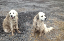 Wine Tours of Sedona3