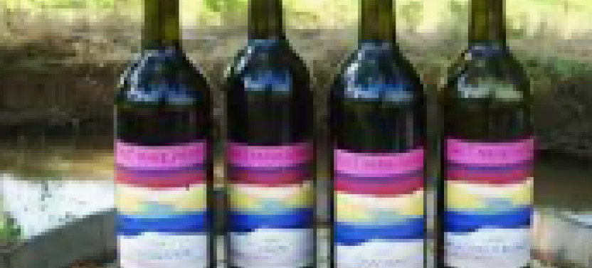 A Taste of Camp Verde's Boutique Vineyards