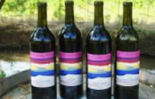 Wine Tours of Sedona4