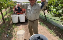 Wine Tours of Sedona7