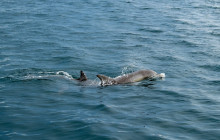 Kangaroo Island Trails3