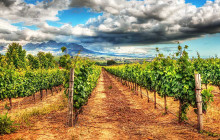 Wine Tours of Sedona1