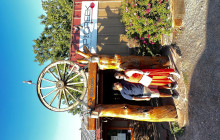 Wine Tours of Sedona5