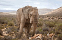 HYM Cape Tours PTY LTD1